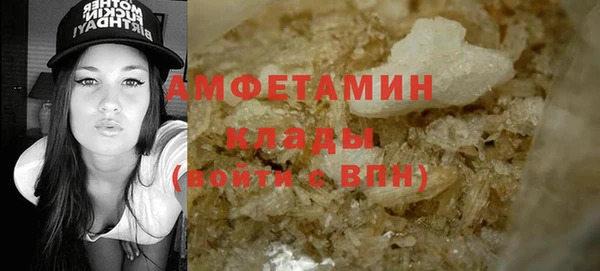 ECSTASY Алзамай