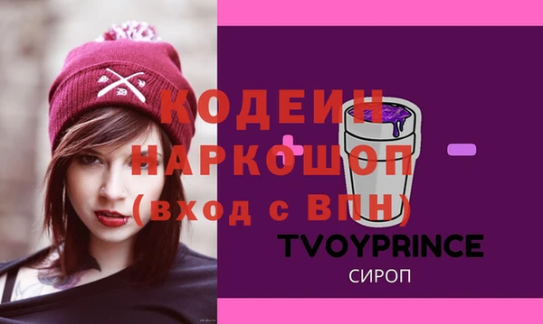 ECSTASY Алзамай