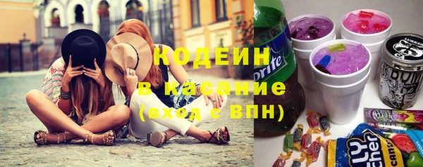 ECSTASY Алзамай