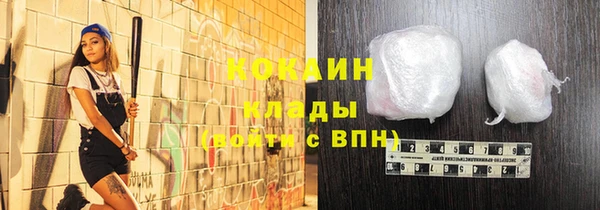 ECSTASY Алзамай